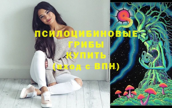 мдма Белокуриха