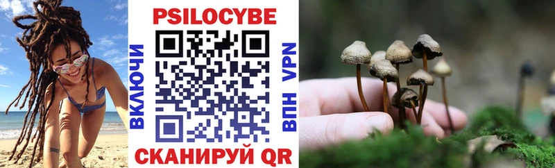 Псилоцибиновые грибы GOLDEN TEACHER Курильск