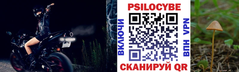 купить   Курильск  Псилоцибиновые грибы ЛСД 